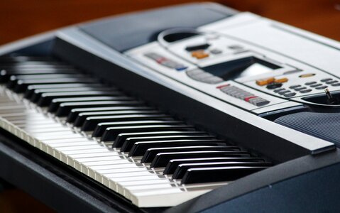 Piano keys black keys white keys