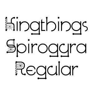 Kingthings Spirogyra Regular