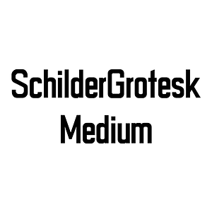 SchilderGrotesk Medium