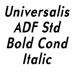 Universalis ADF Std Bold Cond Italic