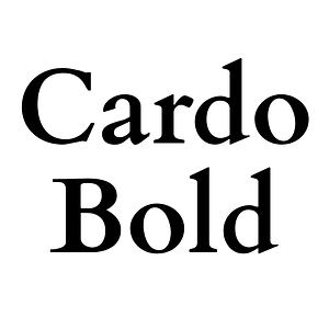 Cardo Bold