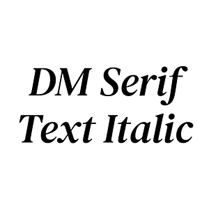 DM Serif Text Italic