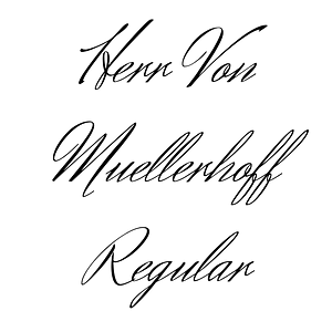 Herr Von Muellerhoff Regular