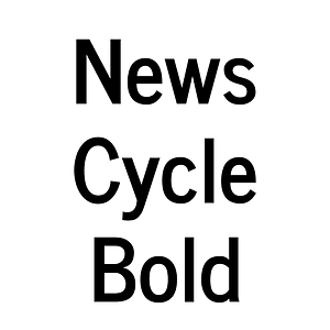 News Cycle Bold