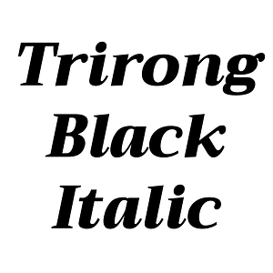 Trirong Black Italic