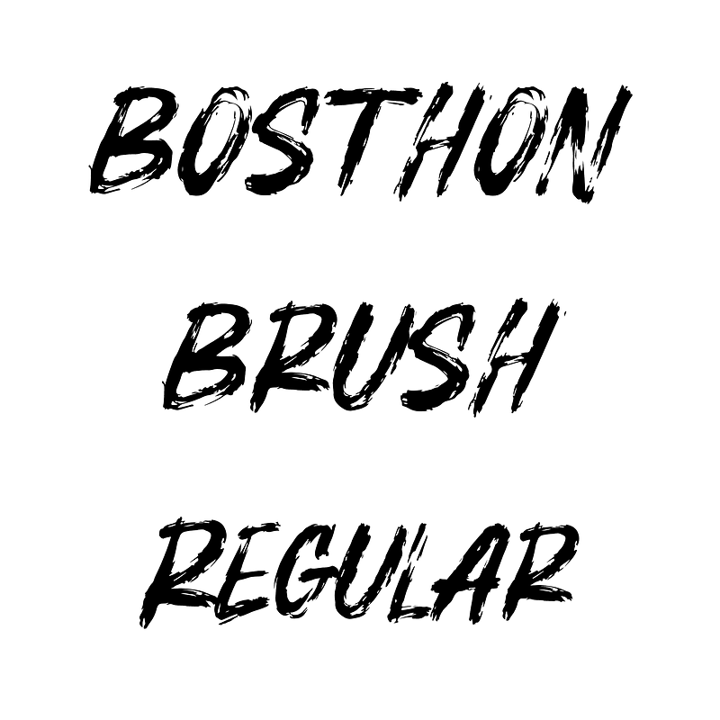 BOSTHON BRUSH Regular