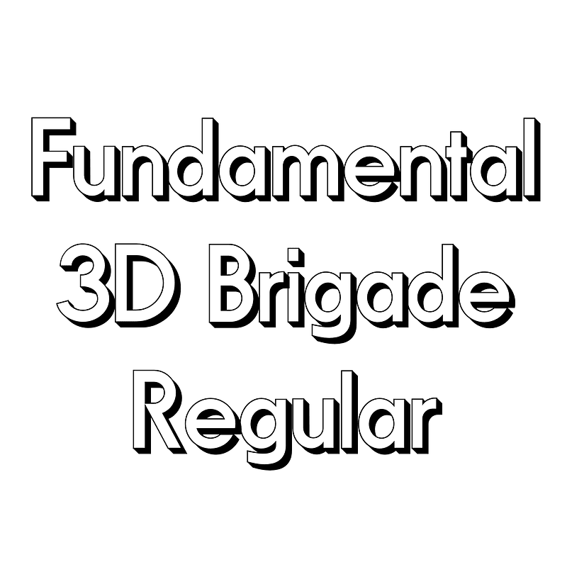 Fundamental 3D Brigade Regular