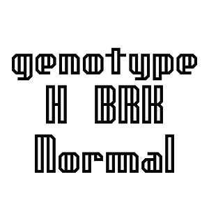 genotype H BRK Normal