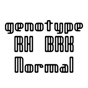 genotype RH BRK Normal