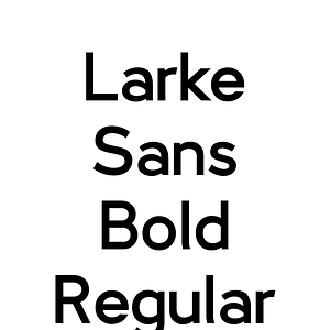Larke Sans Bold Regular