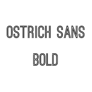 Ostrich Sans Bold