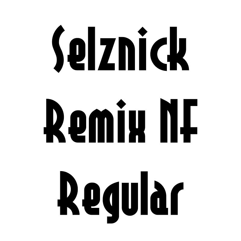 Selznick Remix NF Regular