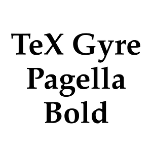 TeX Gyre Pagella Bold