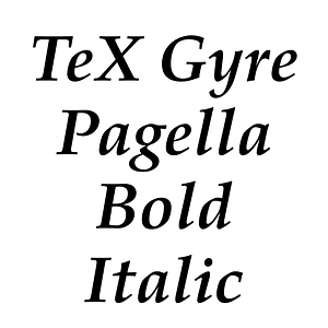 TeX Gyre Pagella Bold Italic