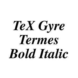 TeX Gyre Termes Bold Italic