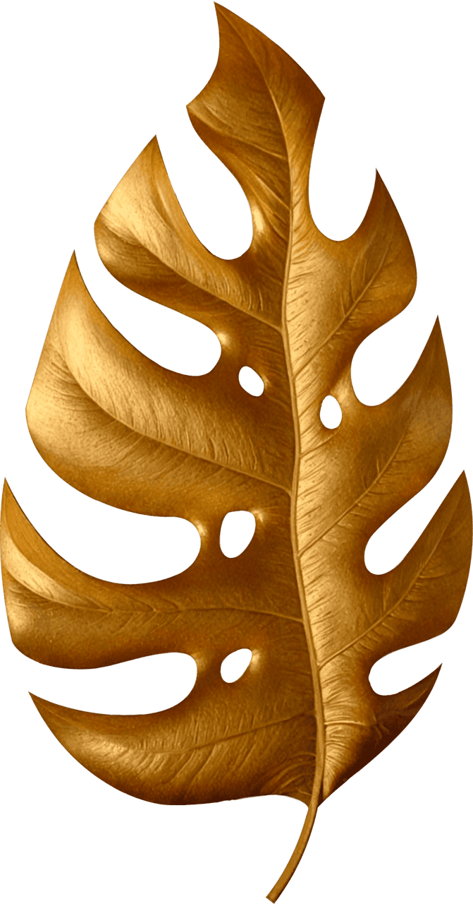 Monstera gold leaf