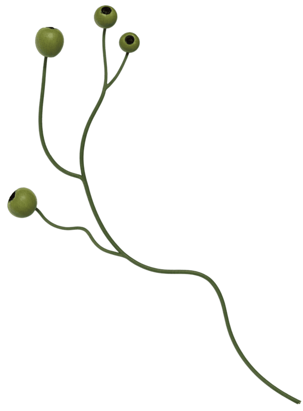 Branch with berries