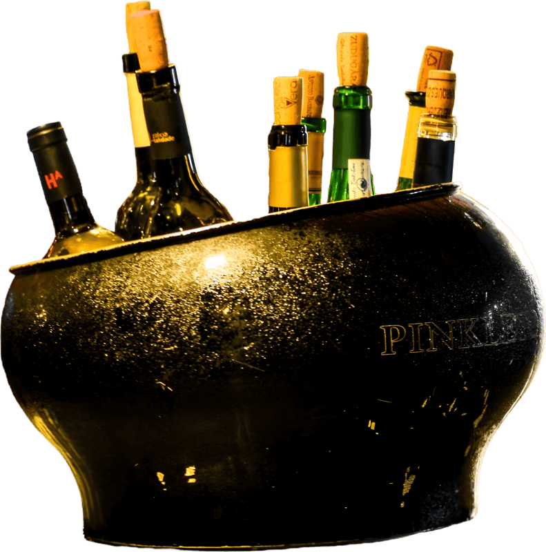 Ice bucket with bottles