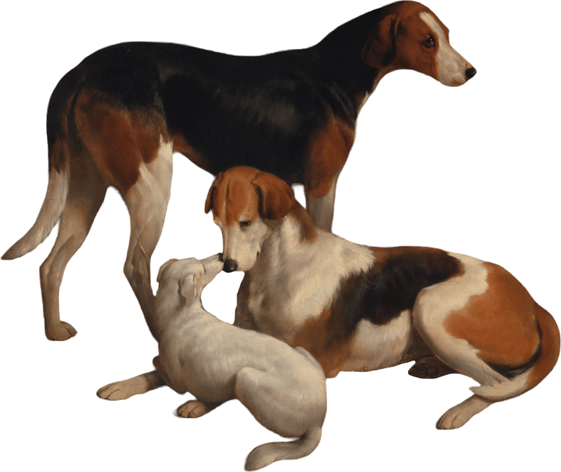 Foxhounds and Terrier by William Barraud