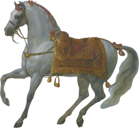 Marengo Napoleon’s Stallion by Antoine Gros