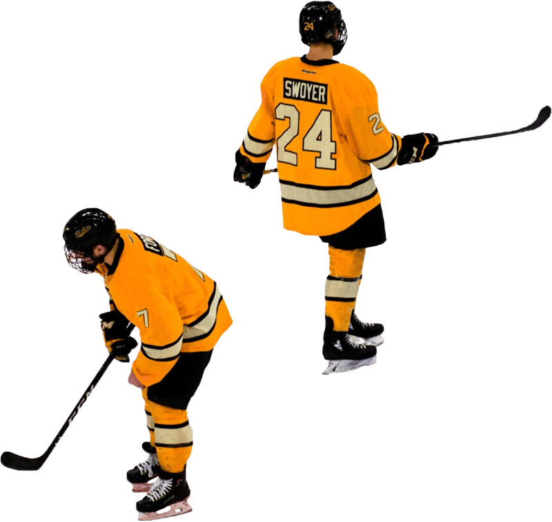 Hockey Players in Action