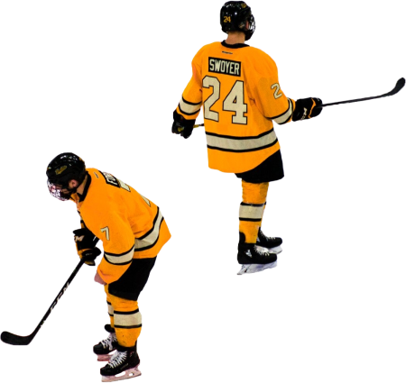 Hockey Players in Action