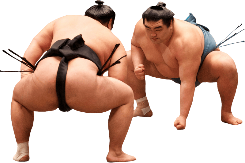 Sumo Wrestlers in the Ring