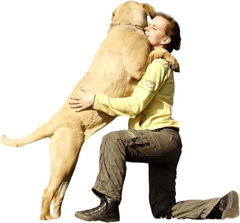Woman with Mastiff Dogs