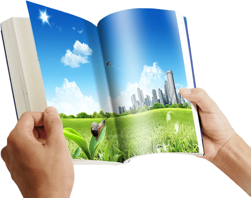 Book with Meadow Landscape