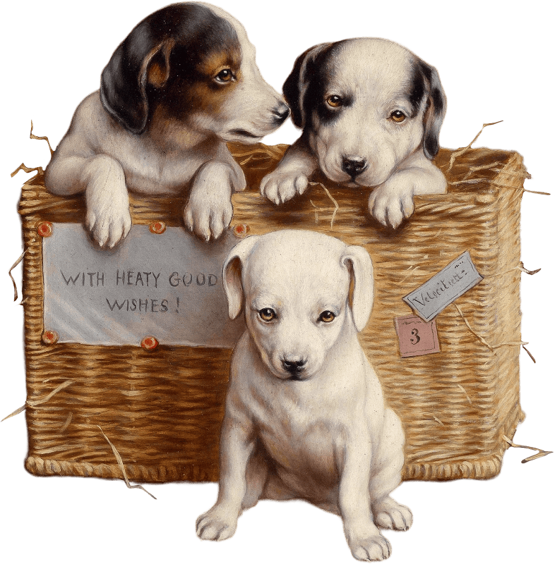 Puppies in Wicker Basket by Carl Reichert
