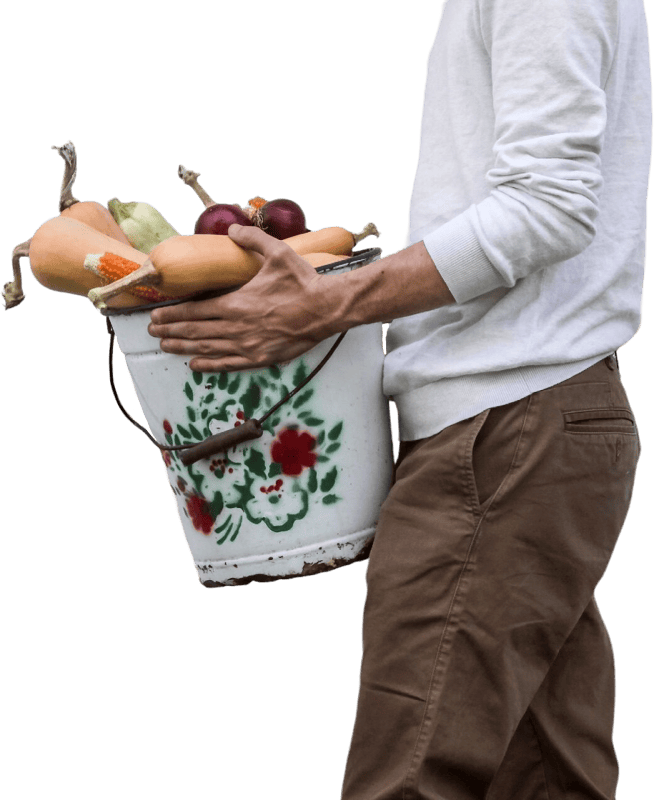 Carrying Vegetables in Decorative Bucket
