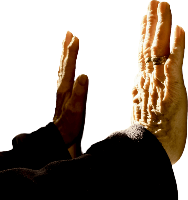 Hands up