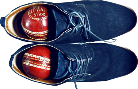 Cricket Balls in Shoes