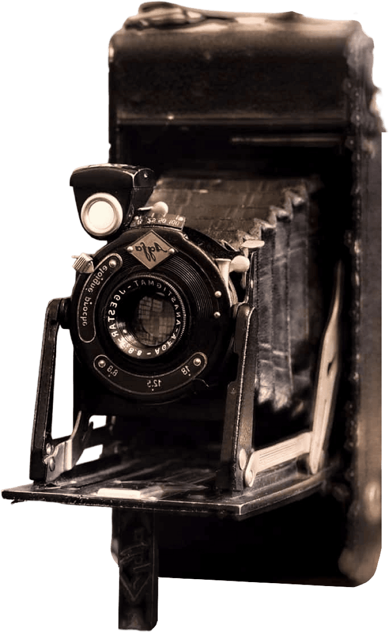 Vintage Bellows Cameras