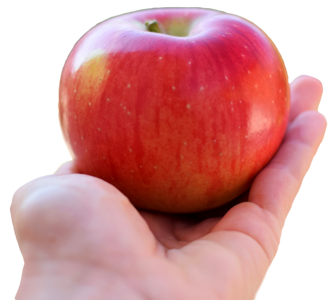 Apple fruits