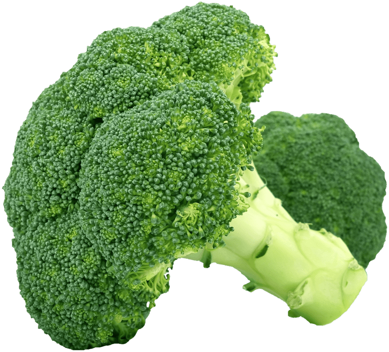 Broccoli