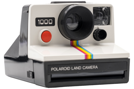 Polaroid land