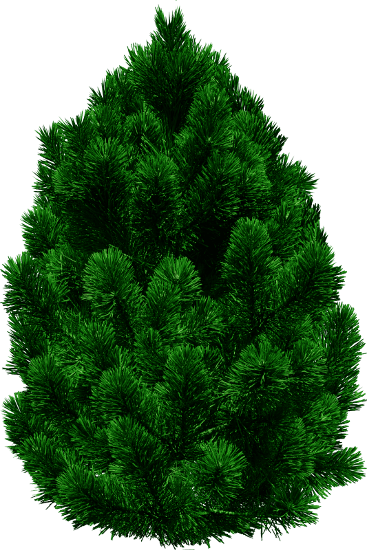  christmas tree momi