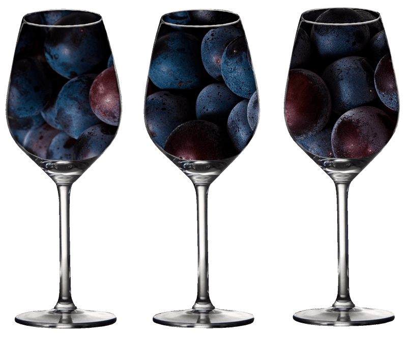Alcohol wine glass winery