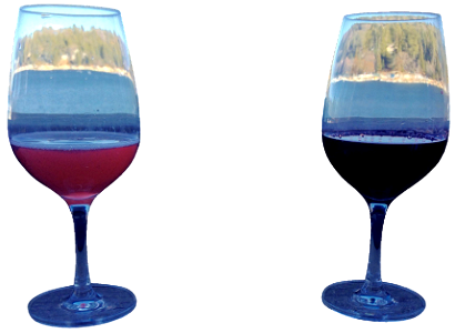 2 Glasses of wine by the lake