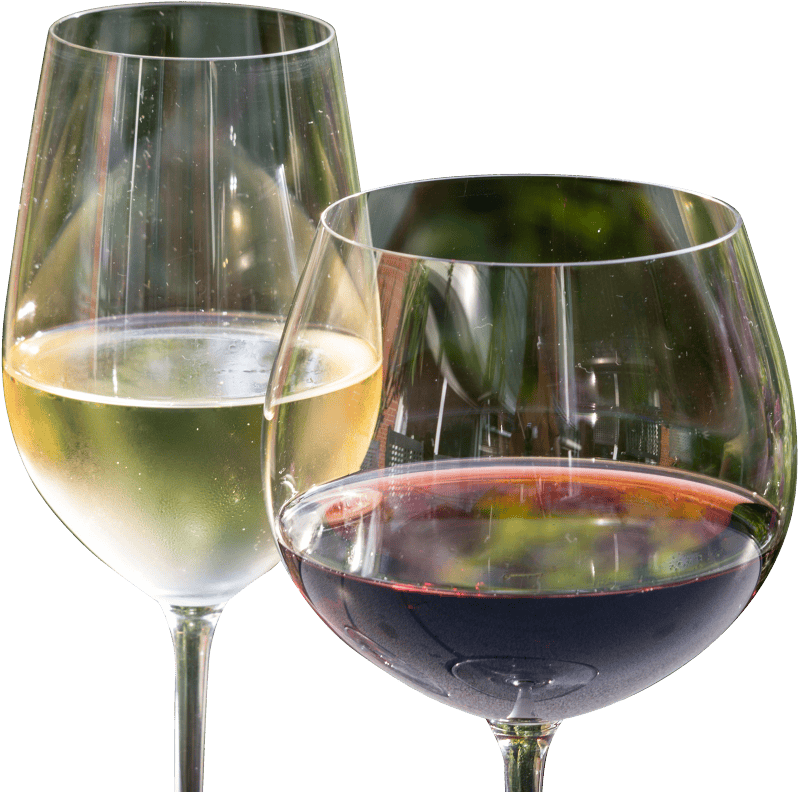 Wine drink glasses