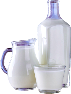 Glass glass milk bottle milk