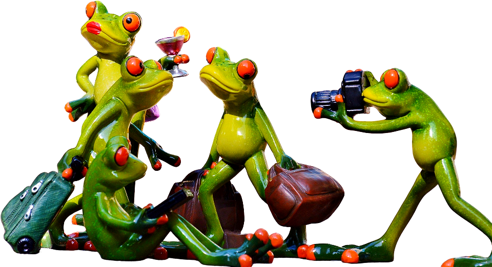 Frogs