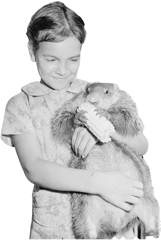 Daughter of miner with pet ground hog dixie darby fuel company marne mine lejuni