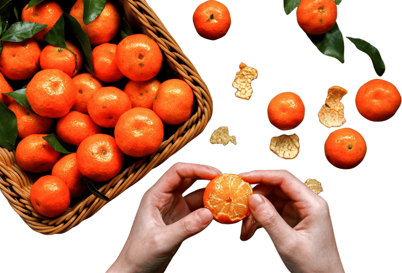 Mikan fruits hands