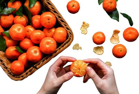 Mikan fruits hands