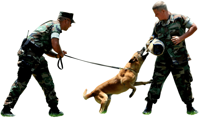 Us navy master at arms 2nd class adam taylor performs patrol 