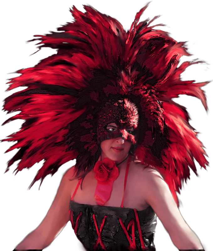 Feathers Red Black