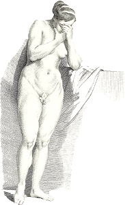 Naked Woman Posing Sensually Vintage Erotic Art Design Figure From Encyclopedi 1
