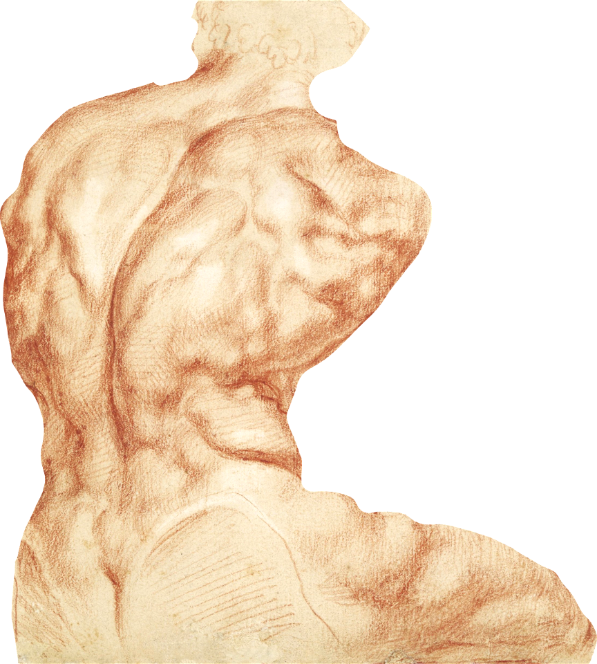 Man Muscle Sketch Original From The Met Museum Digitally Enhanced By Rawpixel Il